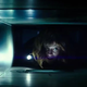 An image from 10 Cloverfield Lane, the 2nd film in the Cloverfield universe. Image: Paramount